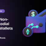 Top Non-Custodial Hot Wallets