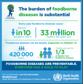 Infographics on foodborne diseases and fatalities