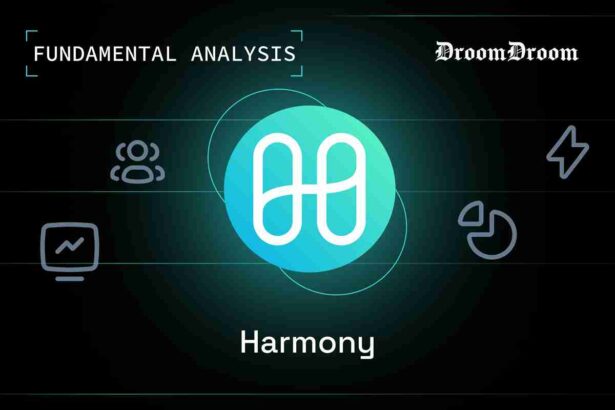Harmony Fundamental Analysis