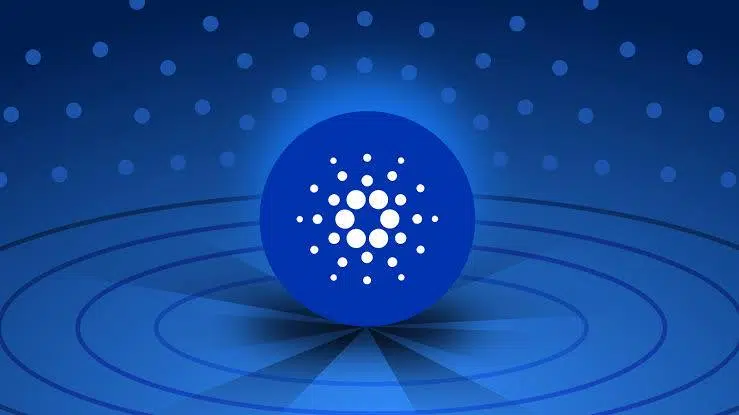 An image of Cardano ADA used as a header in explaining FDV.