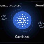 Cardano Fundamental Analysis