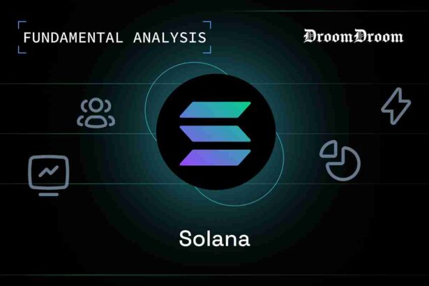 Solana Funadmental Analysis