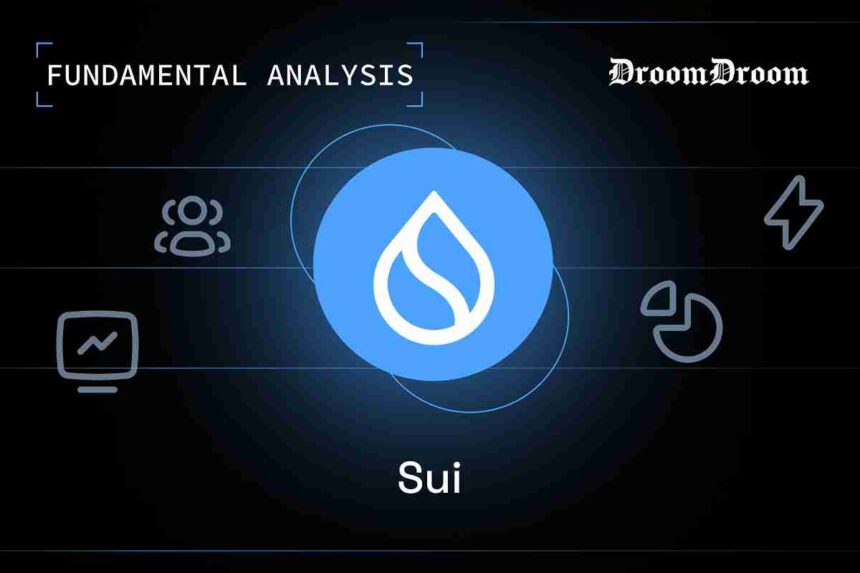 Sui Fundamental Analysis