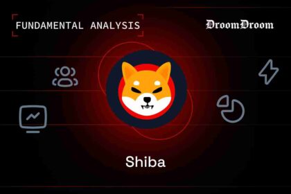 Shiba Inu fundamental analysis
