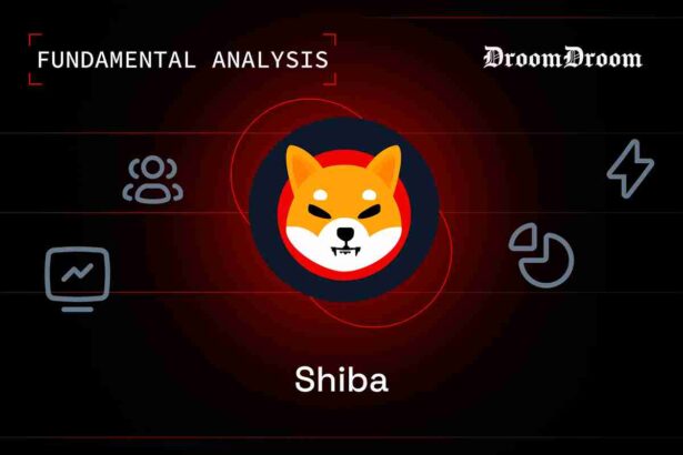 Shiba Inu fundamental analysis