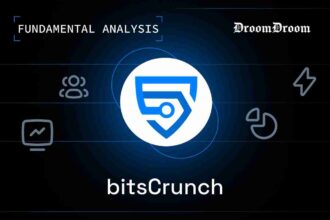bitscrunch $bcut fundamental analysis