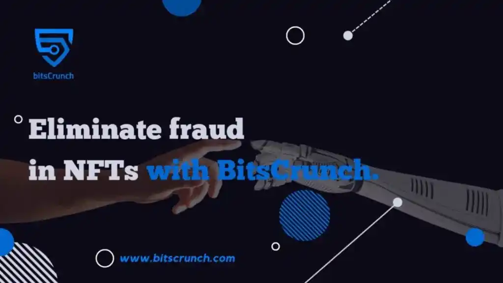Bitscrunch elimination of frauds