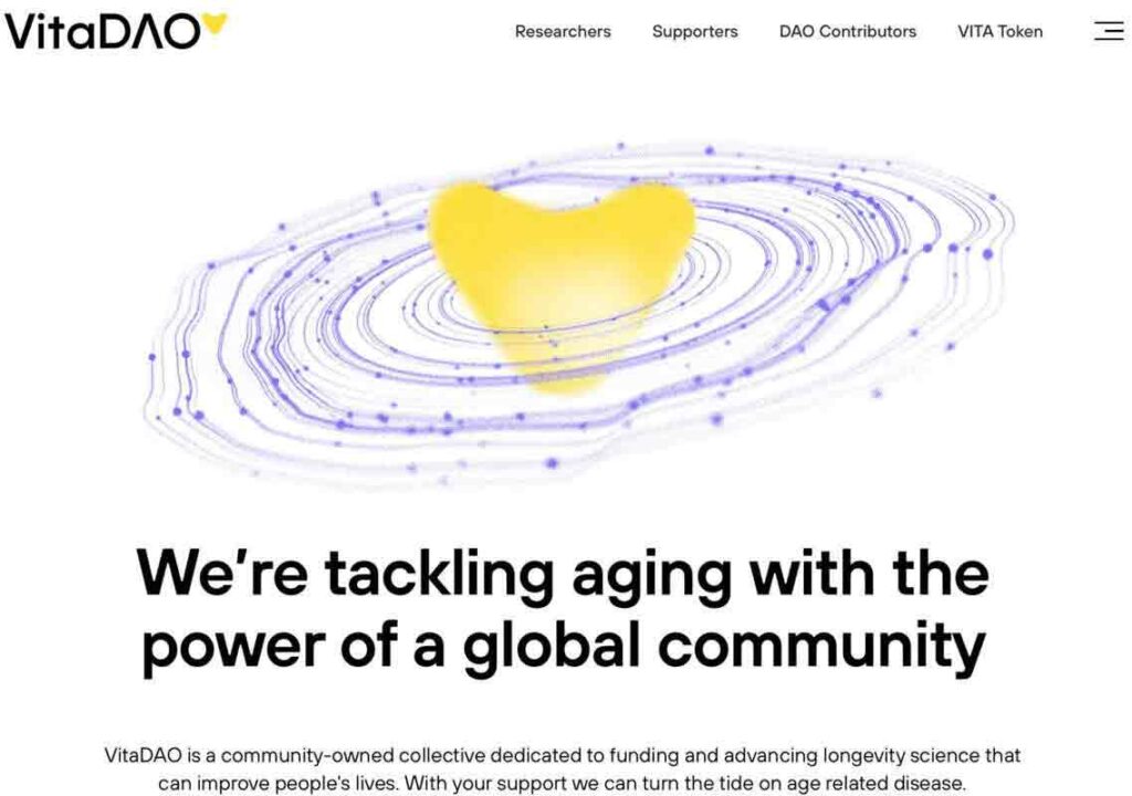 DAOs and Social Impact: Empowering Communities