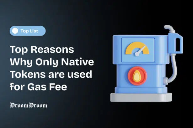 Top Reasons Why Only Native Tokens are used for Gas Fee