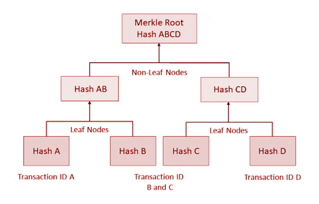 Merkle Tree Efficiency in Blockchain: Essentials Explained