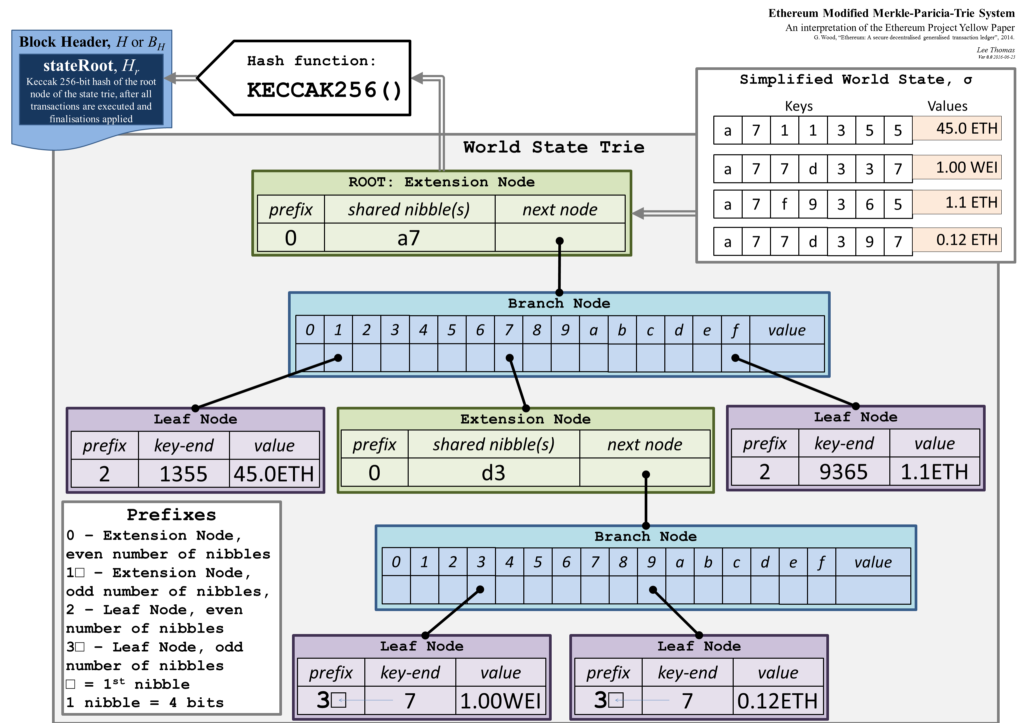 Merkle Tree Efficiency in Blockchain: Essentials Explained