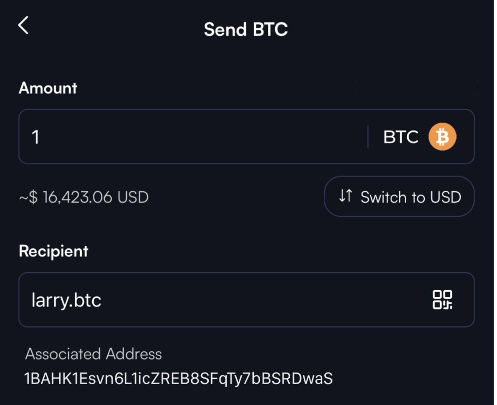 Mapping BNS names to Bitcoin addresses 