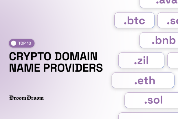 Top 10 Crypto Domain Name Providers