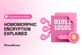 Homomorphic Encryption