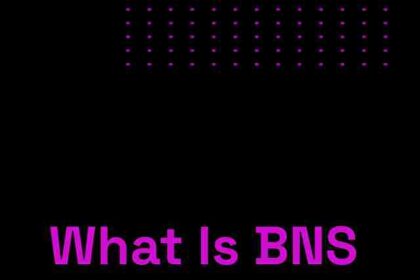 What Is BNS v2?