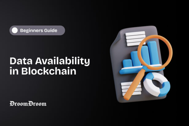 Data Availability in Blockchain explained