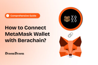 Connect MetaMask wallet with berachain