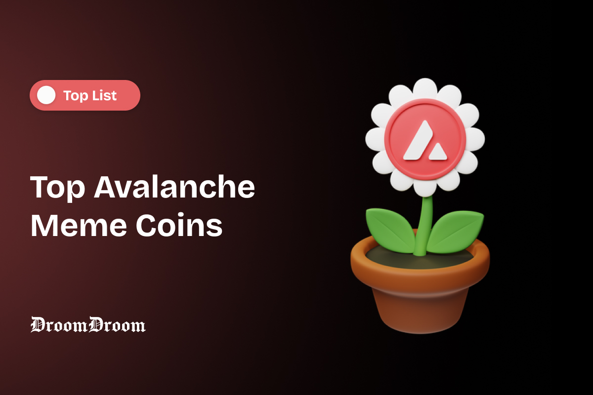 Top Avalanche Meme Coins to Watch In 2026