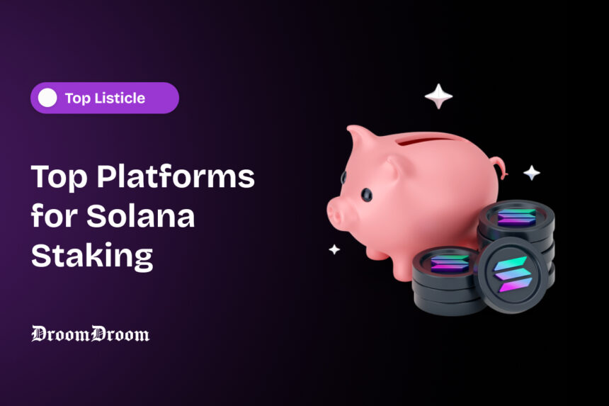 Top Platforms for Solana Staking