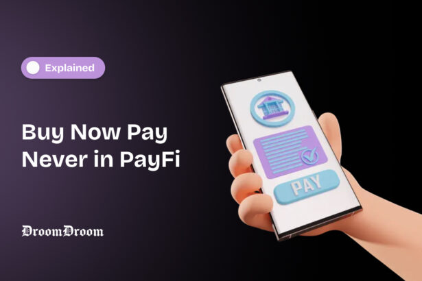 Buy Now Pay Never in PayFi