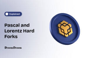 Pascal and Lorentz Hard Forks BNB