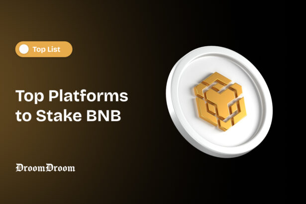 Top Platforms to Stake BNB