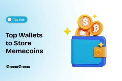 Top Wallets to Store Memecoins