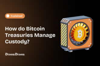 How do Bitcoin Treasuries Manage Custody
