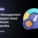 Risk Management Strategies Used by Bitcoin Treasuries