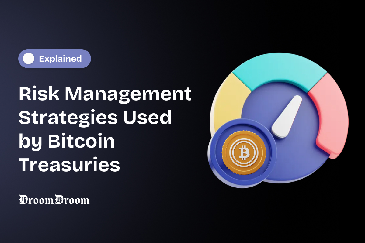 Risk Management Strategies Used by Bitcoin Treasuries