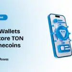 Top Wallets to Store TON Memecoins