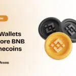 Top Wallets to store BNB Memecoins