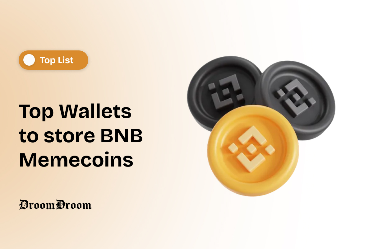 Top Wallets to store BNB Memecoins