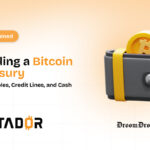 Funding a Bitcoin Treasury