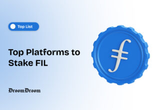 Top Platforms to Stake FIL