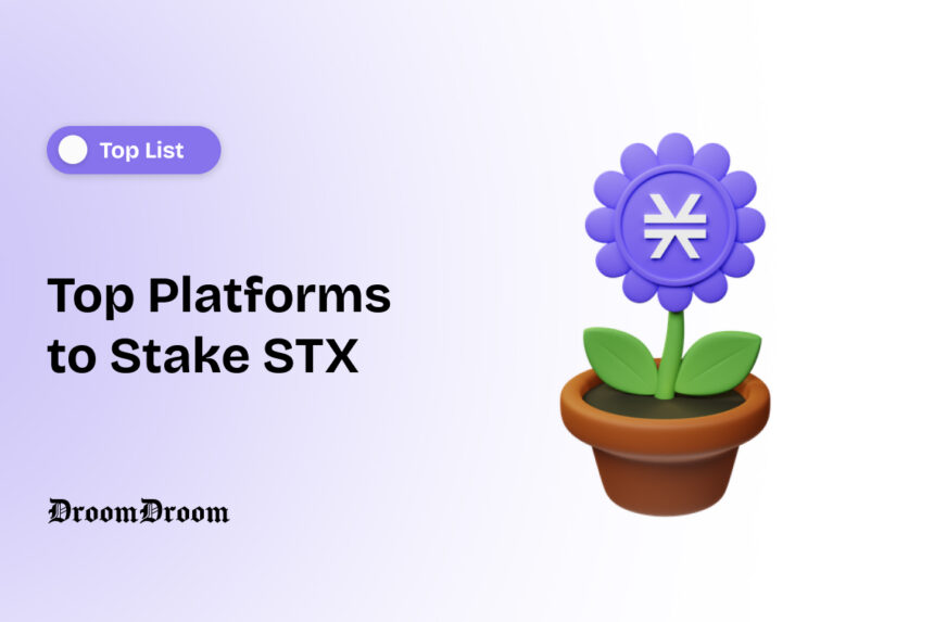 Top Platforms to Stake STX