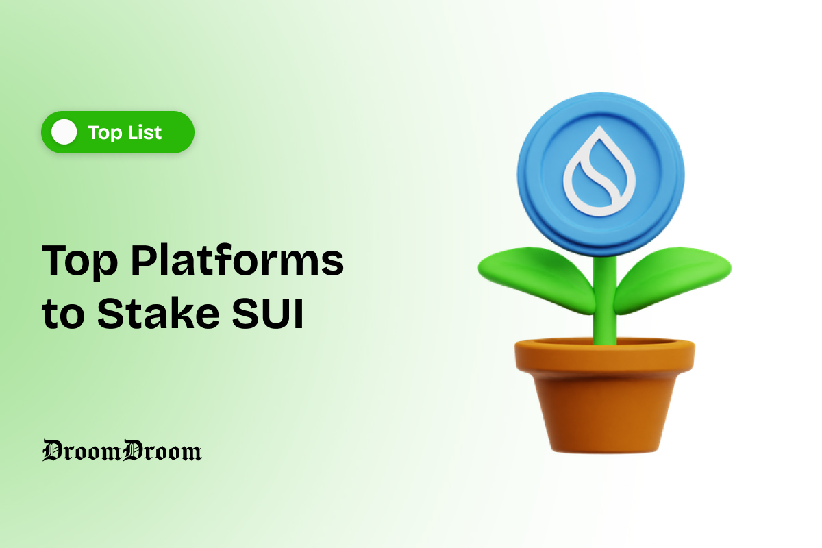 Top Platforms to Stake SUI