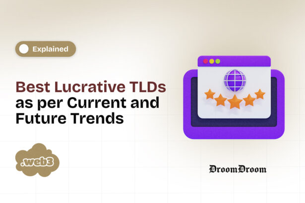 Best Lucrative TLDs