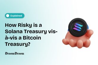 How Risky is a Solana Treasury vis-à-vis a Bitcoin Treasury?