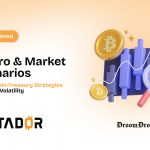 Bitcoin-Treasury Strategies