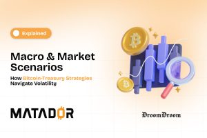 Bitcoin-Treasury Strategies