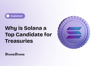 Why is Solana a Top Candidate for Treasuries